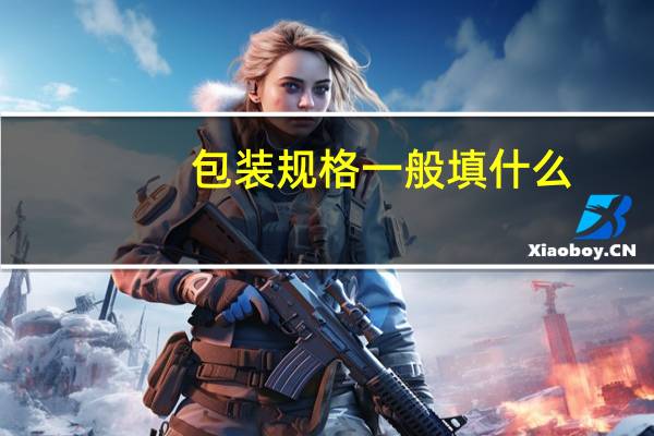 包装规格一般填什么