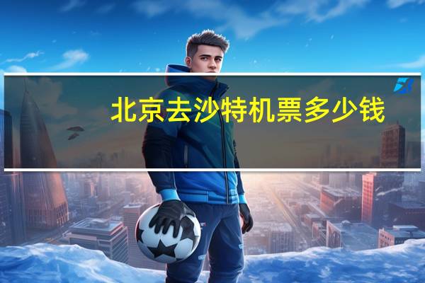 北京去沙特机票多少钱