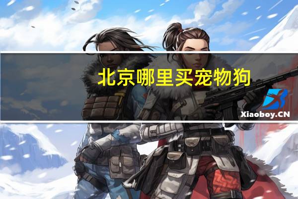 北京哪里买宠物狗