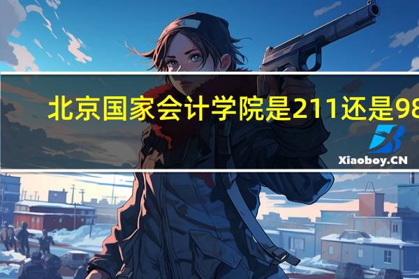 北京国家会计学院是211还是985
