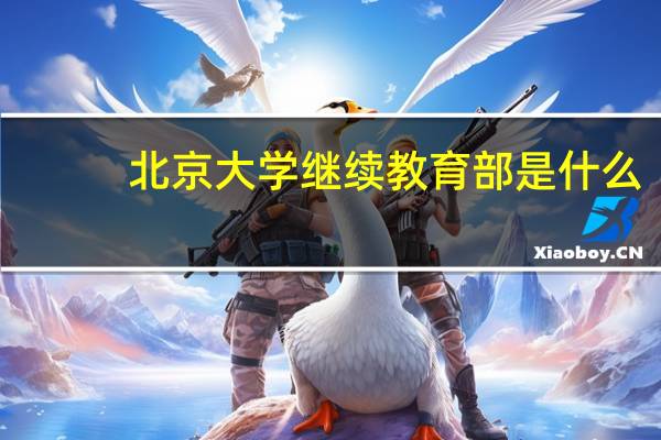 北京大学继续教育部是什么