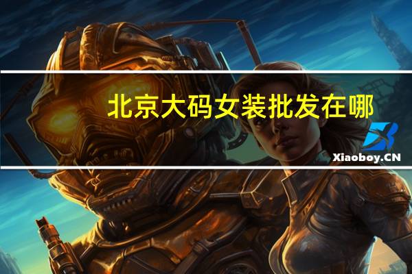 北京大码女装批发在哪