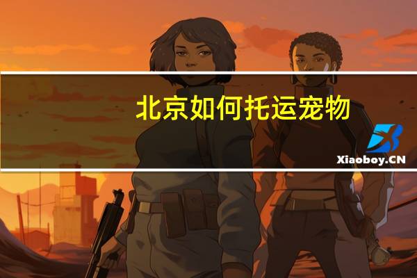 北京如何托运宠物