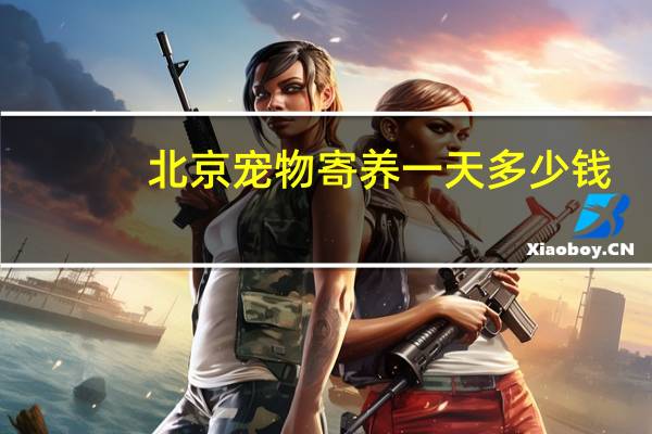 北京宠物寄养一天多少钱