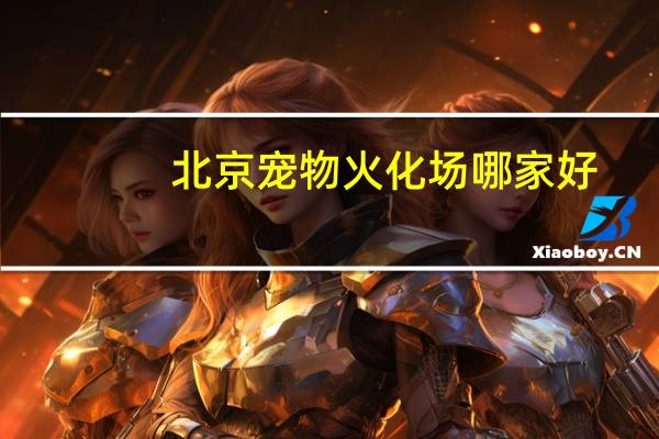 北京宠物火化场哪家好