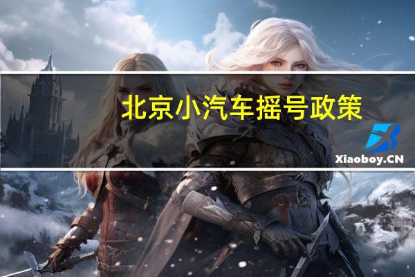 北京小汽车摇号政策