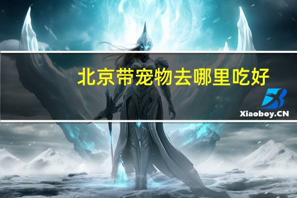 北京带宠物去哪里吃好