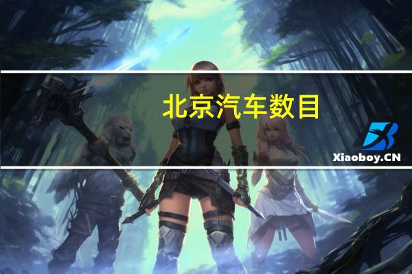 北京汽车数目