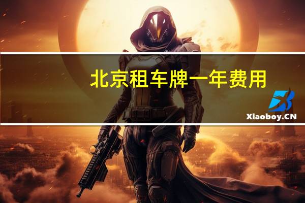 北京租车牌一年费用