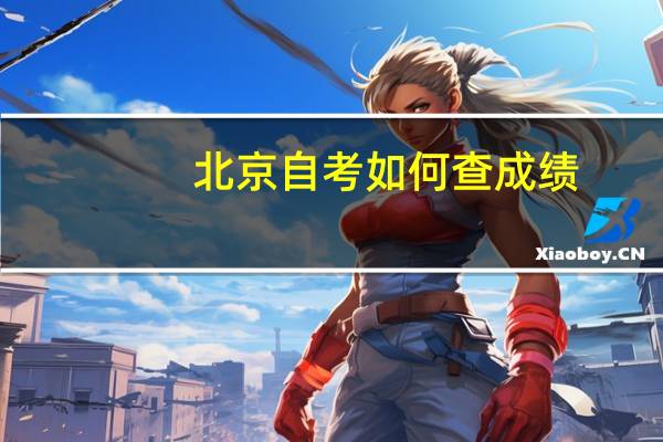 北京自考如何查成绩