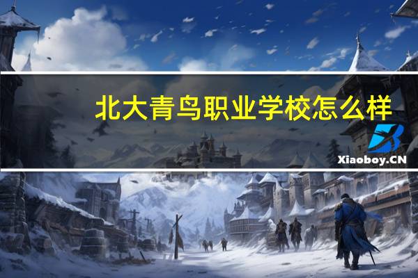 北大青鸟职业学校怎么样