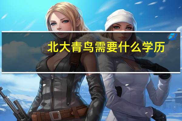 北大青鸟需要什么学历