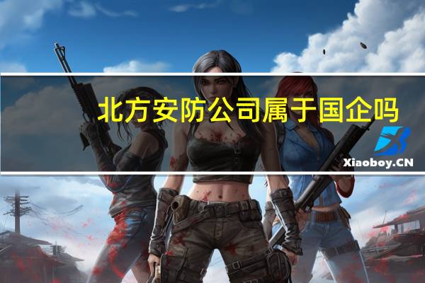 北方安防公司属于国企吗