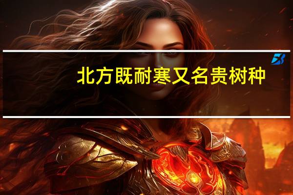 北方既耐寒又名贵树种