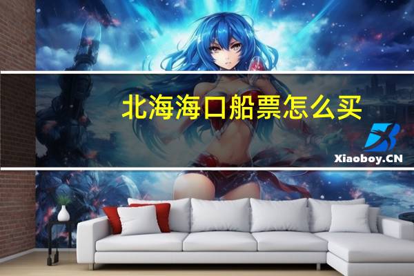 北海海口船票怎么买