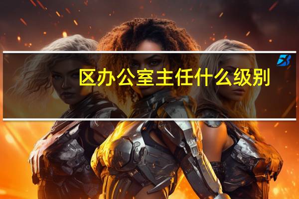区办公室主任什么级别
