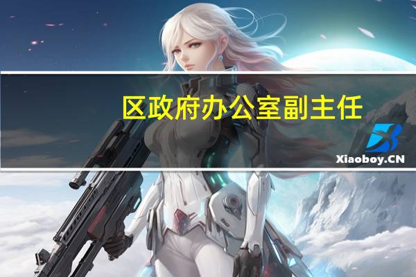 区政府办公室副主任