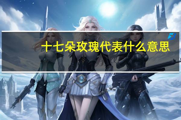 十七朵玫瑰代表什么意思
