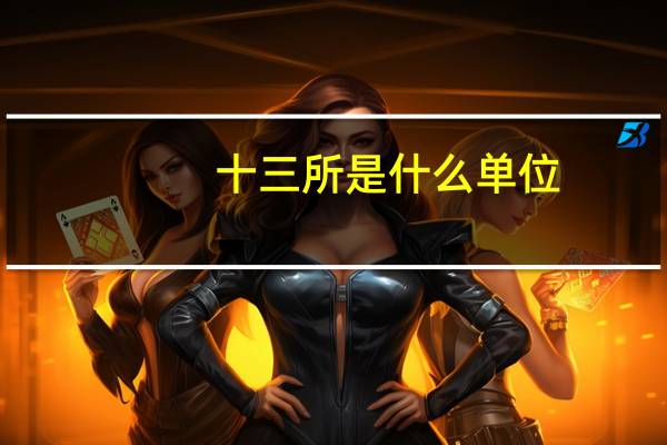 十三所是什么单位