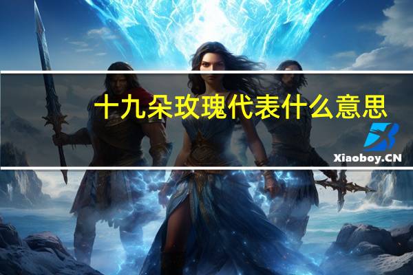 十九朵玫瑰代表什么意思