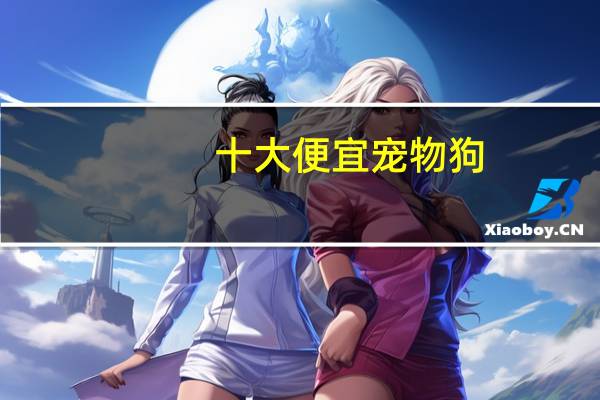 十大便宜宠物狗