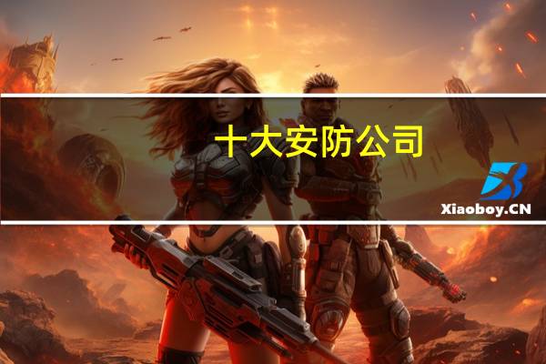 十大安防公司