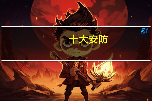 十大安防