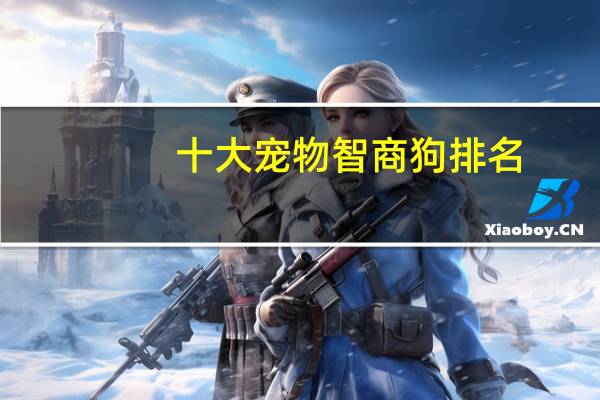 十大宠物智商狗排名