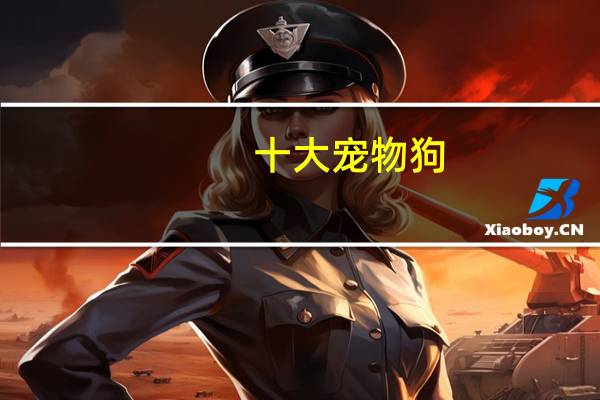 十大宠物狗