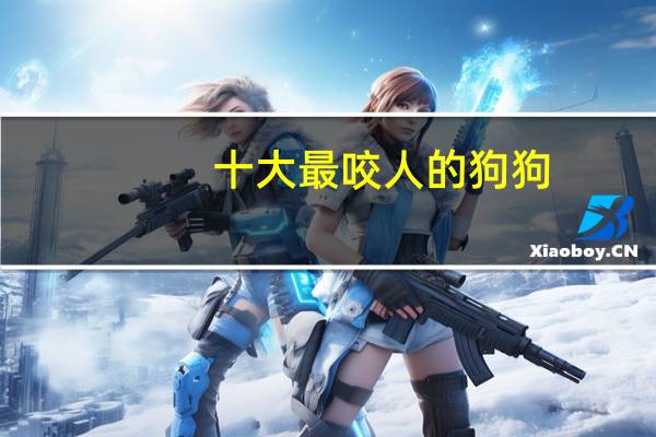 十大最咬人的狗狗