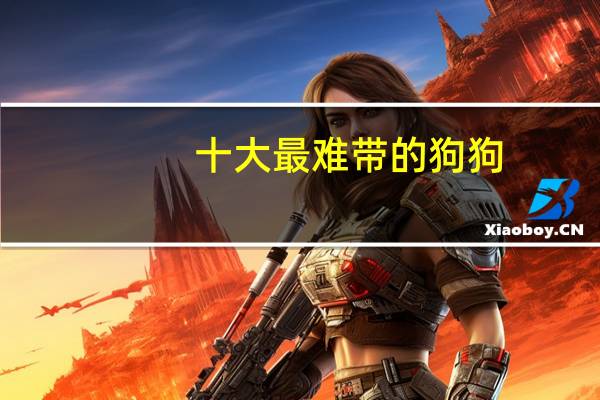 十大最难带的狗狗