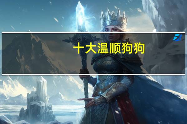 十大温顺狗狗