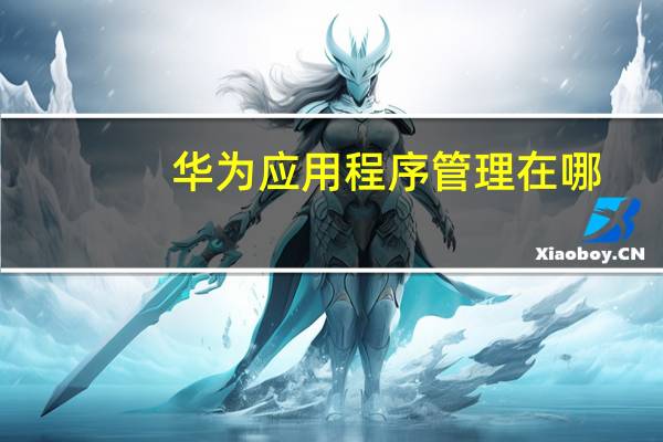 华为应用程序管理在哪