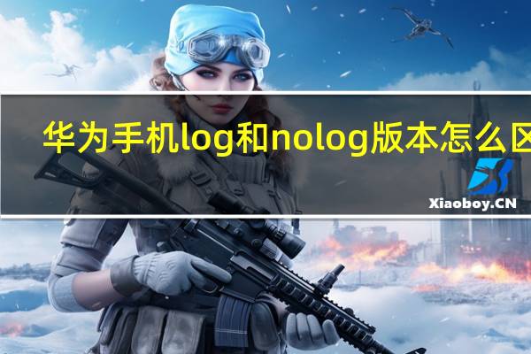 华为手机log和nolog版本怎么区分