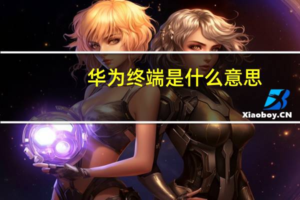 华为终端是什么意思