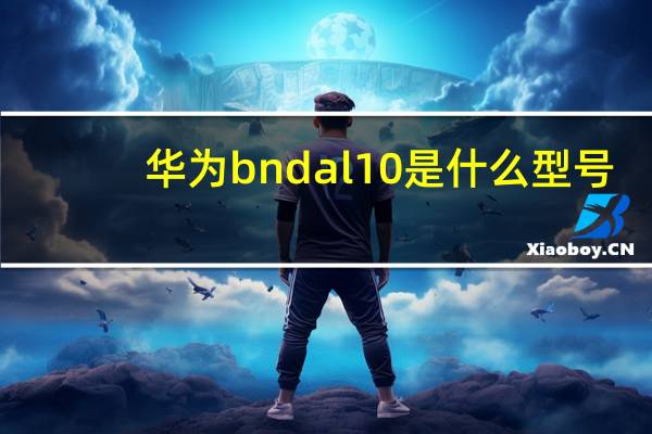 华为bndal10是什么型号