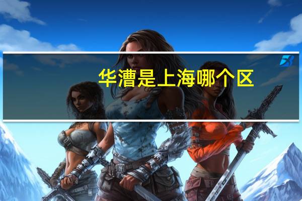 华漕是上海哪个区