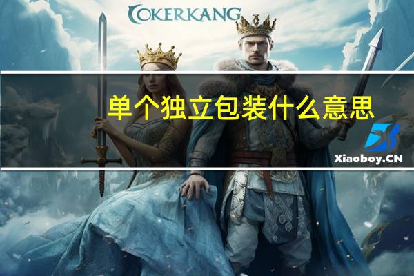 单个独立包装什么意思