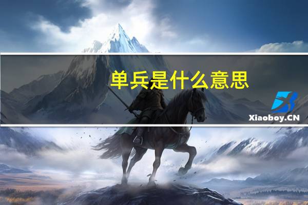 单兵是什么意思