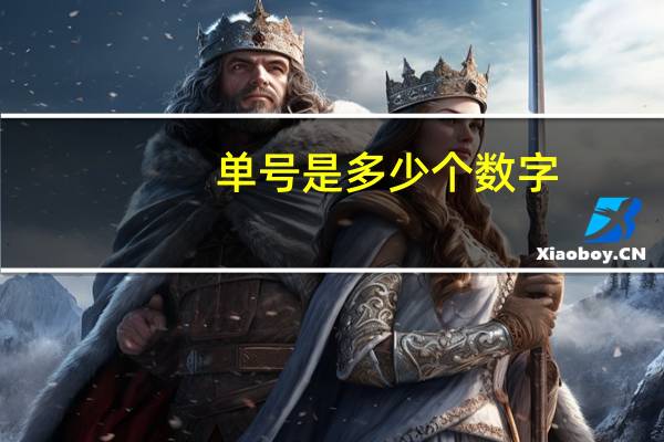 单号是多少个数字