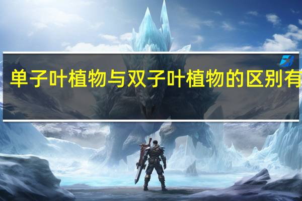 单子叶植物与双子叶植物的区别有什么