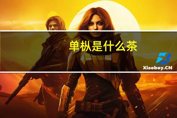 单枞是什么茶