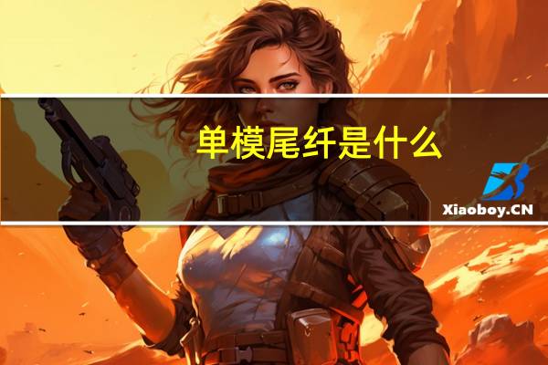 单模尾纤是什么