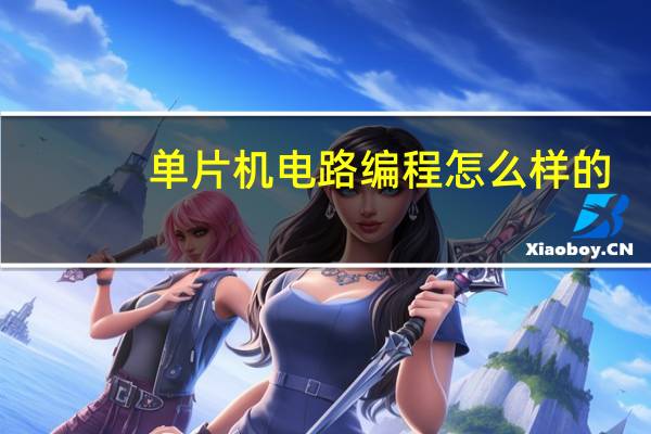 单片机电路编程怎么样的