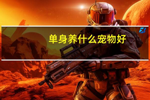单身养什么宠物好