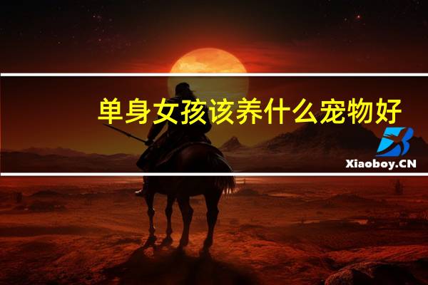 单身女孩该养什么宠物好