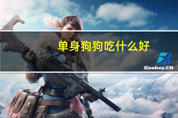 单身狗狗吃什么好