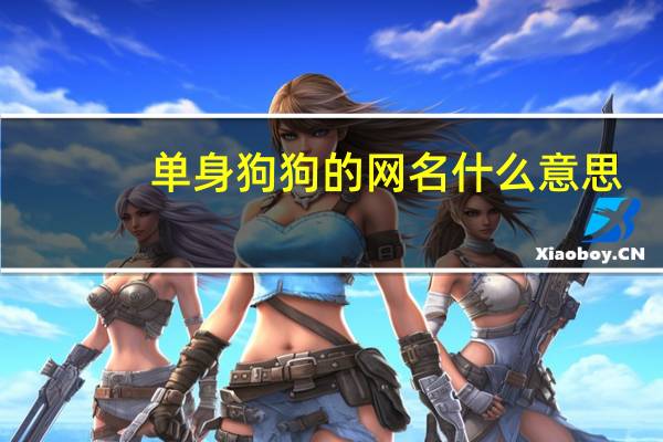 单身狗狗的网名什么意思