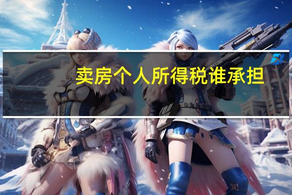 卖房个人所得税谁承担