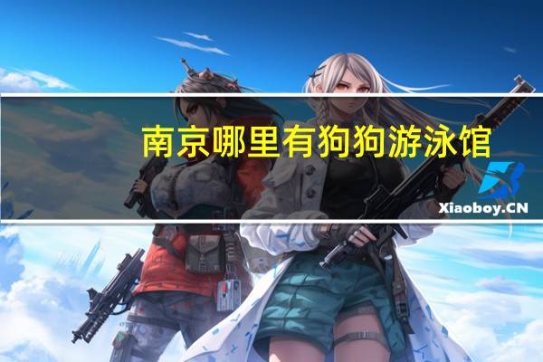 南京哪里有狗狗游泳馆